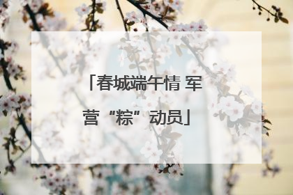 春城端午情 军营“粽”动员