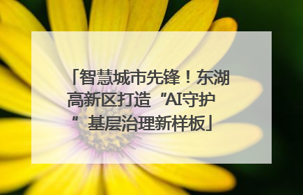 智慧城市先锋！东湖高新区打造“AI守护”基层治理新样板