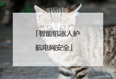 智能机器人护航电网安全