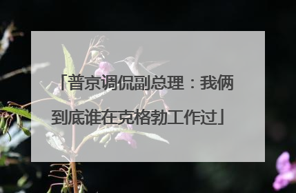 普京调侃副总理：我俩到底谁在克格勃工作过