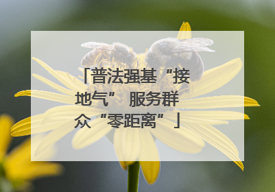 普法强基“接地气” 服务群众“零距离”