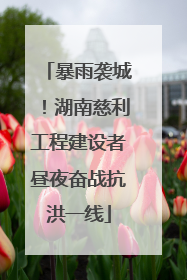 暴雨袭城！湖南慈利工程建设者昼夜奋战抗洪一线