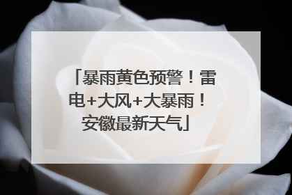 暴雨黄色预警！雷电+大风+大暴雨！安徽最新天气