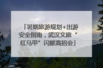 暑期旅游规划+出游安全指南，武汉文旅“红马甲”闪耀高招会