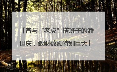 曾与“老虎”搭班子的潘世庆，敛财数额特别巨大