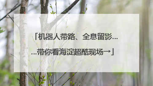 机器人带路、全息留影……带你看海淀超酷现场→