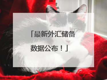 最新外汇储备数据公布！