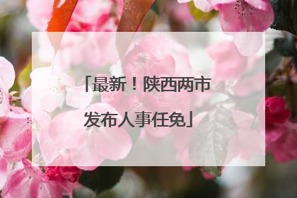 最新！陕西两市发布人事任免