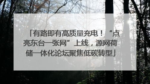 有路即有高质量充电！“点亮东台一张网”上线，源网荷储一体化论坛聚焦低碳转型