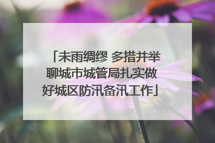 未雨绸缪 多措并举 聊城市城管局扎实做好城区防汛备汛工作