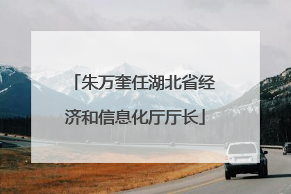 朱万奎任湖北省经济和信息化厅厅长