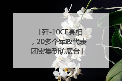 歼-10CE亮相，20多个军政代表团密集到访展台