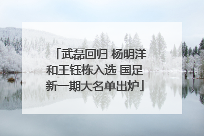 武磊回归 杨明洋和王钰栋入选 国足新一期大名单出炉