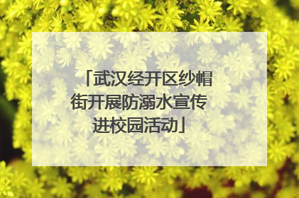 武汉经开区纱帽街开展防溺水宣传进校园活动