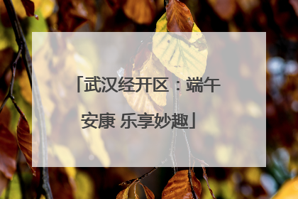 武汉经开区：端午安康 乐享妙趣