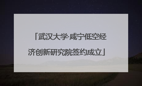 武汉大学·咸宁低空经济创新研究院签约成立