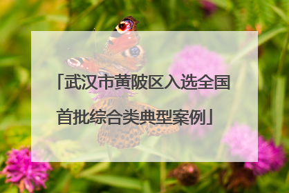 武汉市黄陂区入选全国首批综合类典型案例