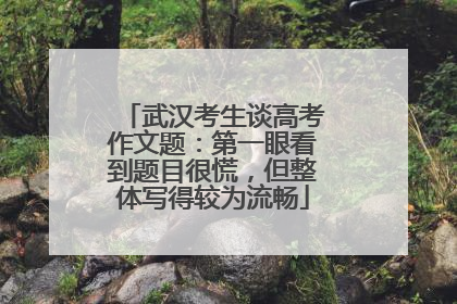 武汉考生谈高考作文题：第一眼看到题目很慌，但整体写得较为流畅