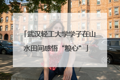 武汉轻工大学学子在山水田间感悟“粮心”