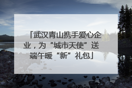 武汉青山携手爱心企业，为“城市天使”送端午暖“新”礼包