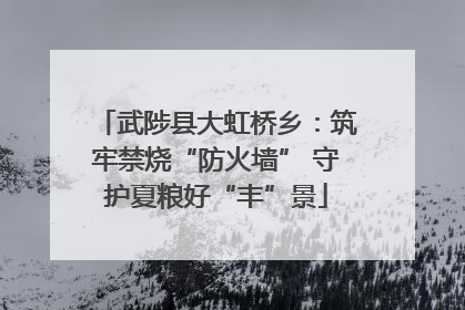 武陟县大虹桥乡：筑牢禁烧“防火墙” 守护夏粮好“丰”景