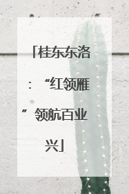 桂东东洛：“红领雁”领航百业兴
