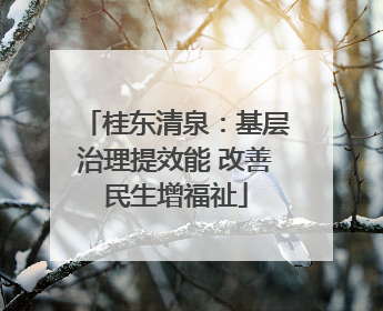 桂东清泉：基层治理提效能 改善民生增福祉