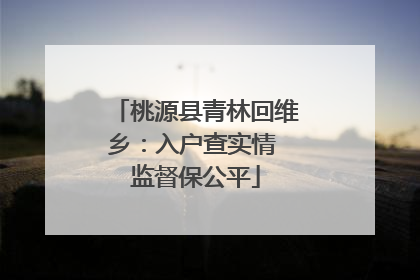 桃源县青林回维乡：入户查实情 监督保公平