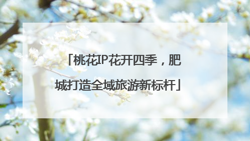 桃花IP花开四季，肥城打造全域旅游新标杆