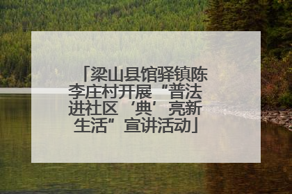 梁山县馆驿镇陈李庄村开展“普法进社区‘典’亮新生活”宣讲活动