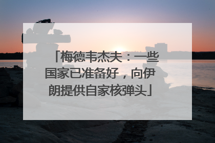 梅德韦杰夫：一些国家已准备好，向伊朗提供自家核弹头