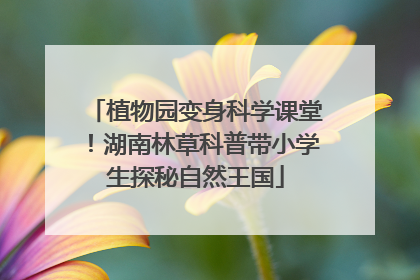 植物园变身科学课堂！湖南林草科普带小学生探秘自然王国