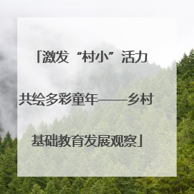 激发“村小”活力 共绘多彩童年——乡村基础教育发展观察