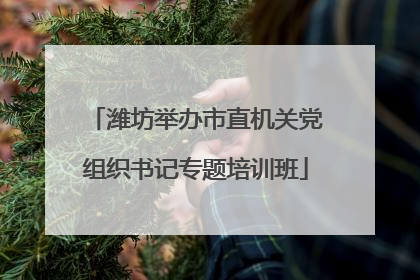 潍坊举办市直机关党组织书记专题培训班