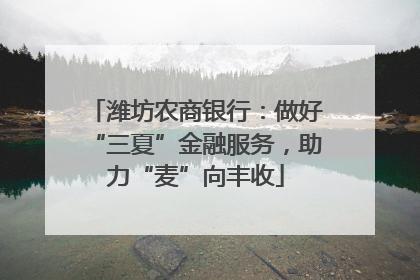 潍坊农商银行：做好“三夏”金融服务，助力“麦”向丰收