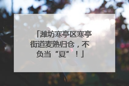 潍坊寒亭区寒亭街道麦熟归仓，不负当“夏”！