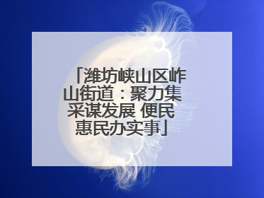 潍坊峡山区岞山街道：聚力集采谋发展 便民惠民办实事