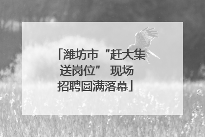 潍坊市“赶大集 送岗位” 现场招聘圆满落幕