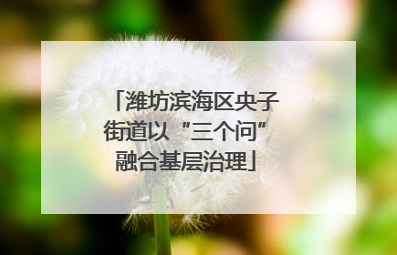潍坊滨海区央子街道以“三个问”融合基层治理