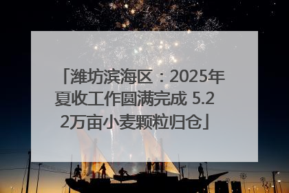 潍坊滨海区：2025年夏收工作圆满完成 5.22万亩小麦颗粒归仓