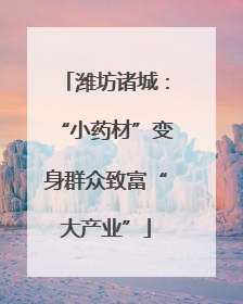 潍坊诸城：“小药材”变身群众致富“大产业”