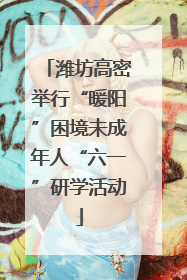 潍坊高密举行“暖阳”困境未成年人“六一”研学活动
