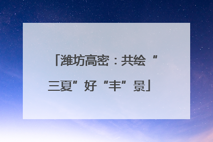 潍坊高密：共绘“三夏”好“丰”景