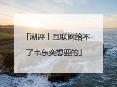 潮评丨互联网给不了韦东奕想要的