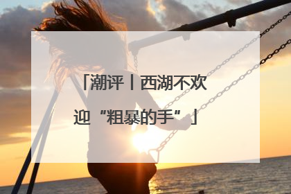 潮评丨西湖不欢迎“粗暴的手”