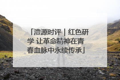 澧源时评｜红色研学 让革命精神在青春血脉中永续传承