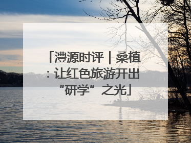 澧源时评｜桑植：让红色旅游开出“研学”之光