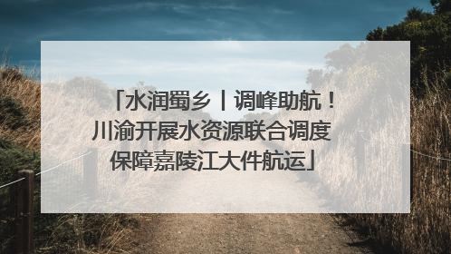 水润蜀乡丨调峰助航！川渝开展水资源联合调度保障嘉陵江大件航运