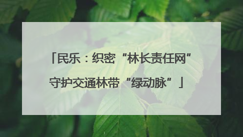 民乐：织密“林长责任网” 守护交通林带“绿动脉”