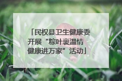民权县卫生健康委开展“粽叶裹温情 健康进万家”活动